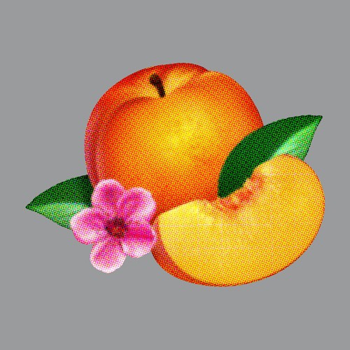 Phoenix-Bankrupt!-lecatalog.com