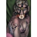 Madonna, la belle ou la bête ?
