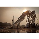 Philippe Pasqua expose son T-Rex prés de la Tour Eiffel.