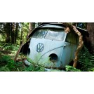 La Résurrection d'un Combi Volkswagen de 1955 