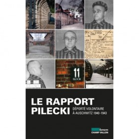 Déporté Volontaire,  Le rapport Pilecki.