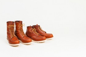 Les Red Wings 875.